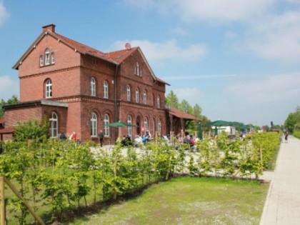 照片: Feldkamp